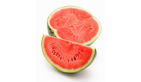 Effect of Meister (Compound Fertilizer) on Watermelon