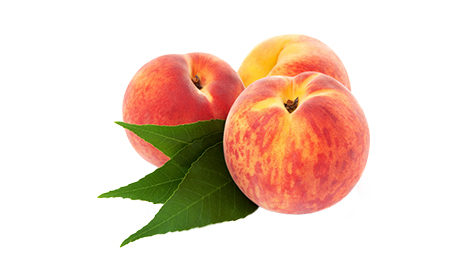 Effect of HB-101 on Peach 2