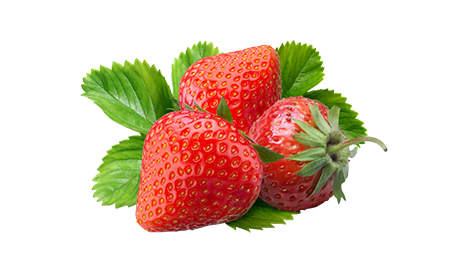 Effect of Haidel Nutrition Program on Strawberry 2