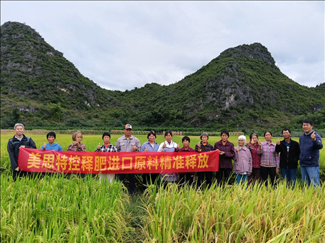 美思特控释肥迎来全国订购热潮，多作物实证显成效